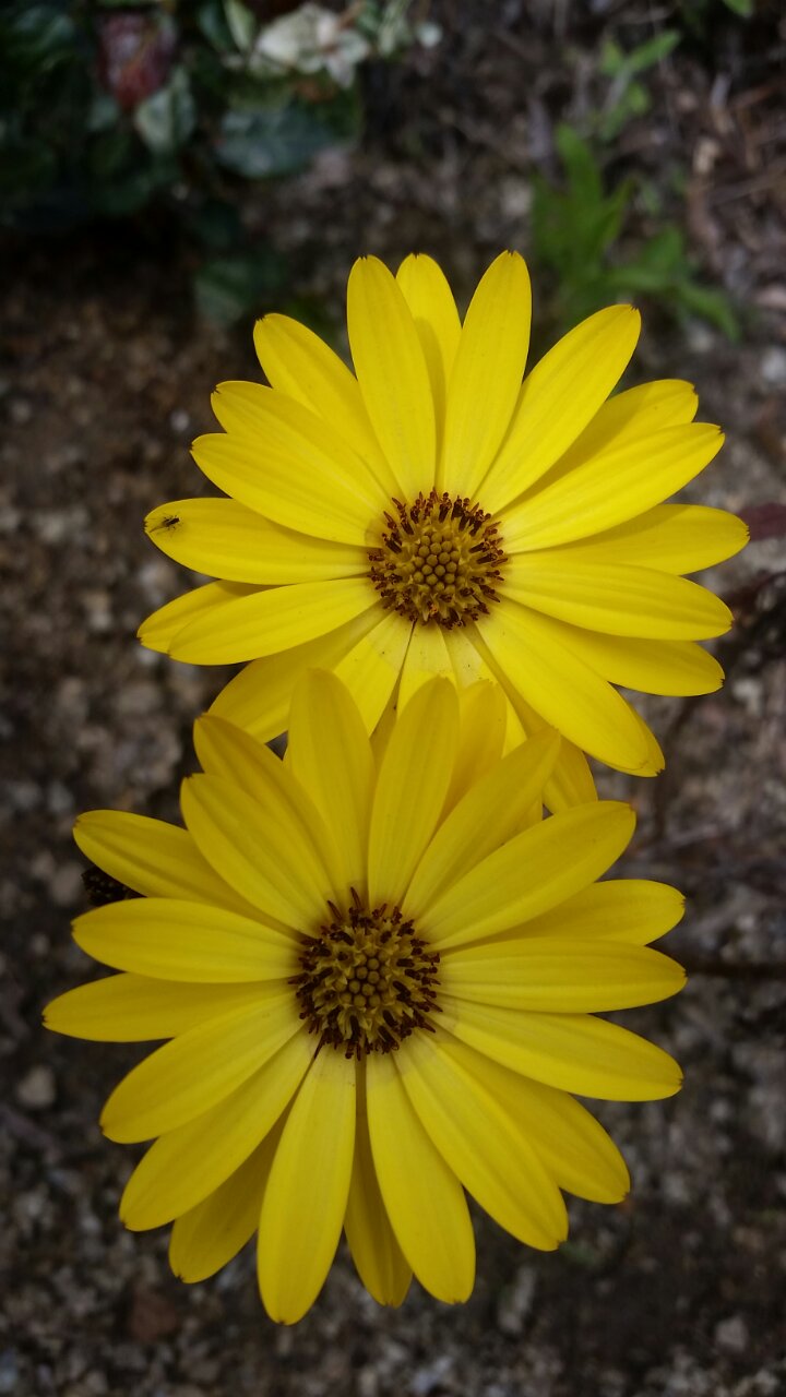 20150428142029_p.jpeg
